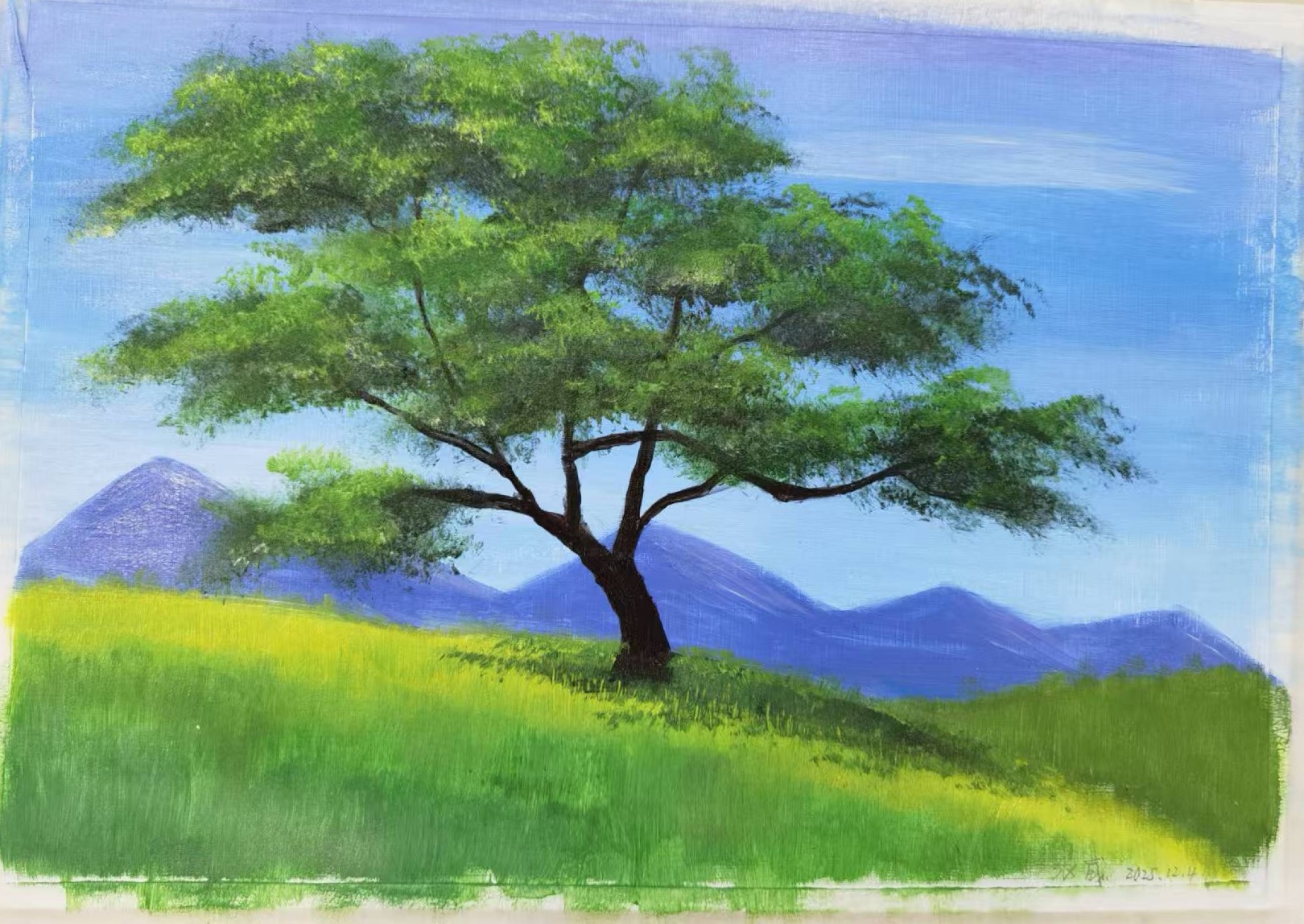 一棵树的旷野