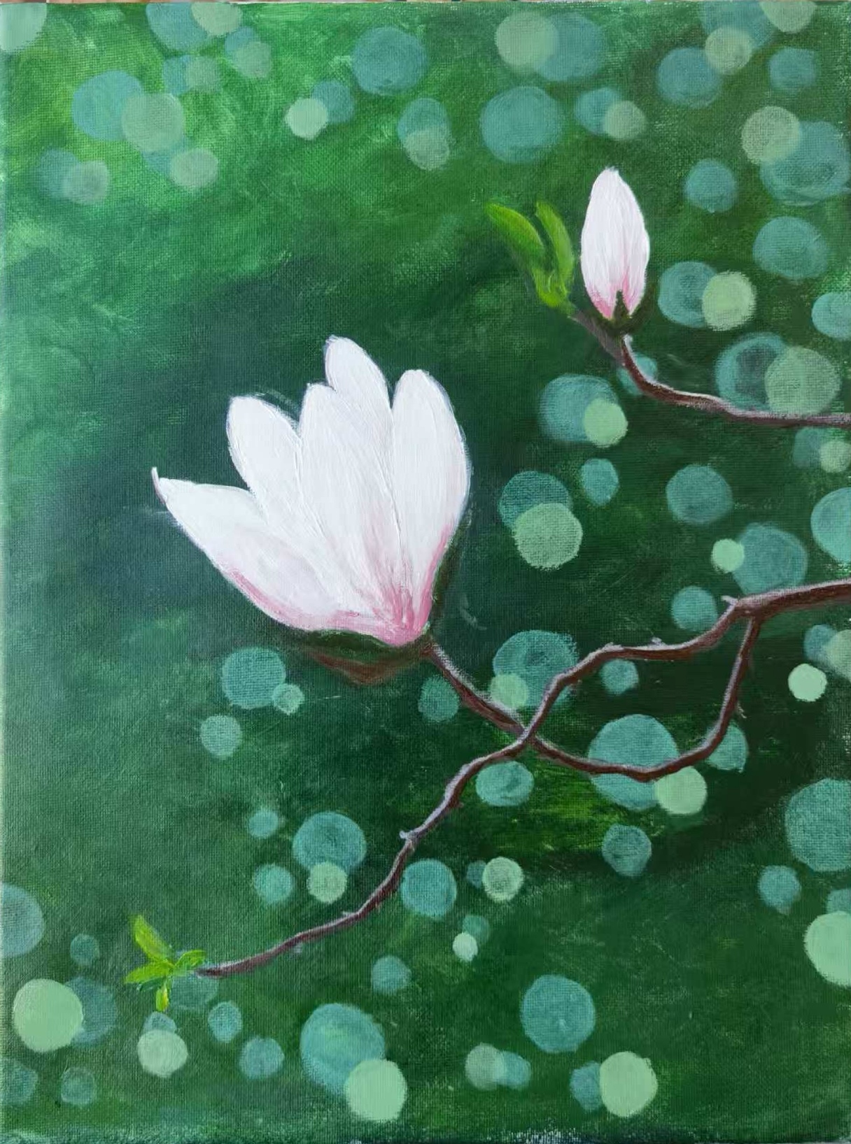 玉兰把月光揉进花苞