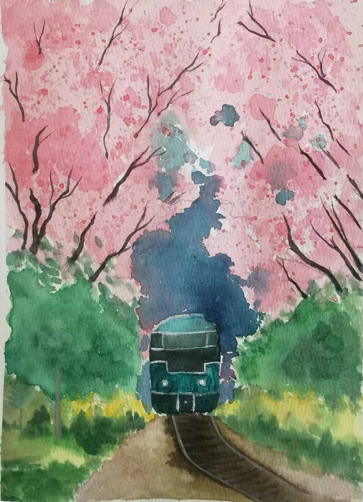 列车载着樱花赴一场春日的约